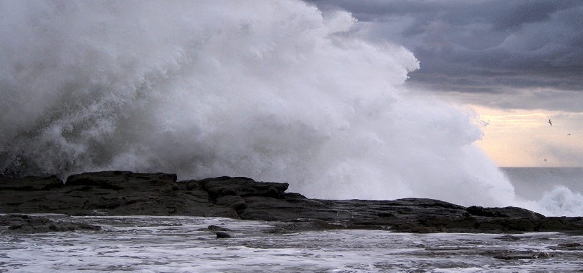 Cloud Hosting: Proceed With Caution