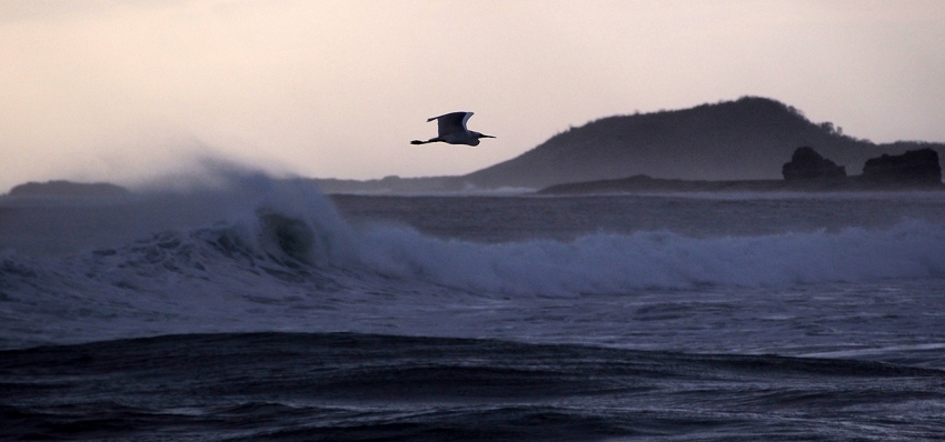 Pacific Coast - Nicaragua